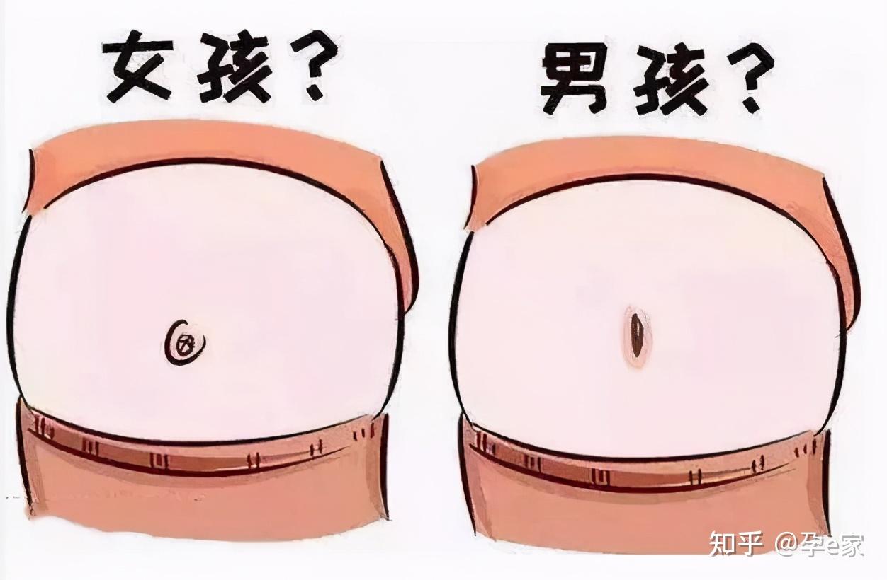 三维彩超怎么看男女 三维彩超怎么看男孩女孩